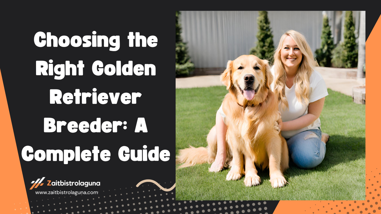 Choosing the Right Golden Retriever Breeder A Complete Guide Image