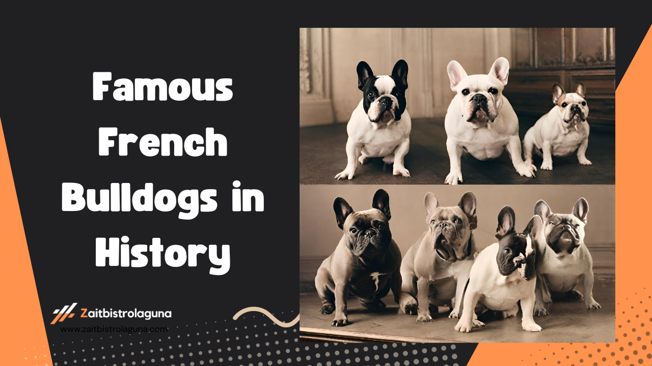 Famous French Bulldogs in History Image