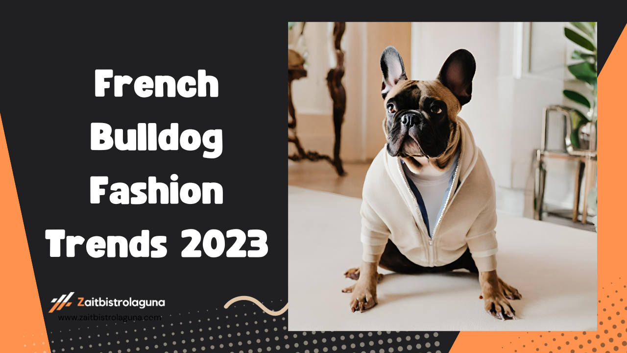 French Bulldog Fashion Trends 2023 Image