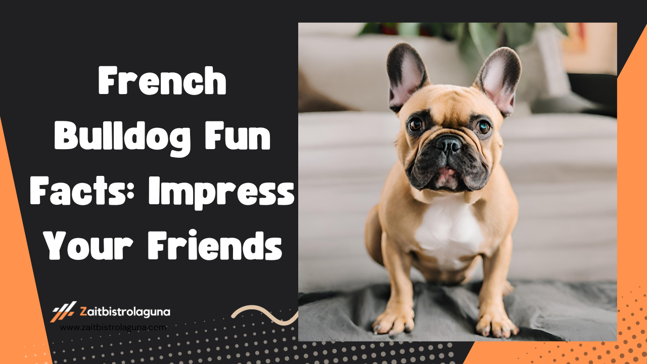 French Bulldog Fun Facts Impress Your Friends Image