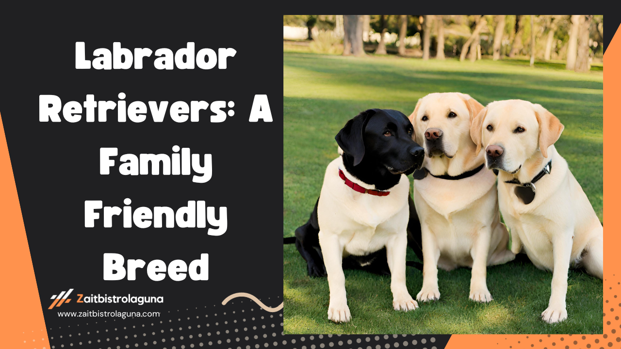 Labrador Retrievers A Family-Friendly Breed Image