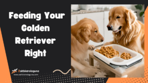 Nutrition Essentials Feeding Your Golden Retriever Right Image