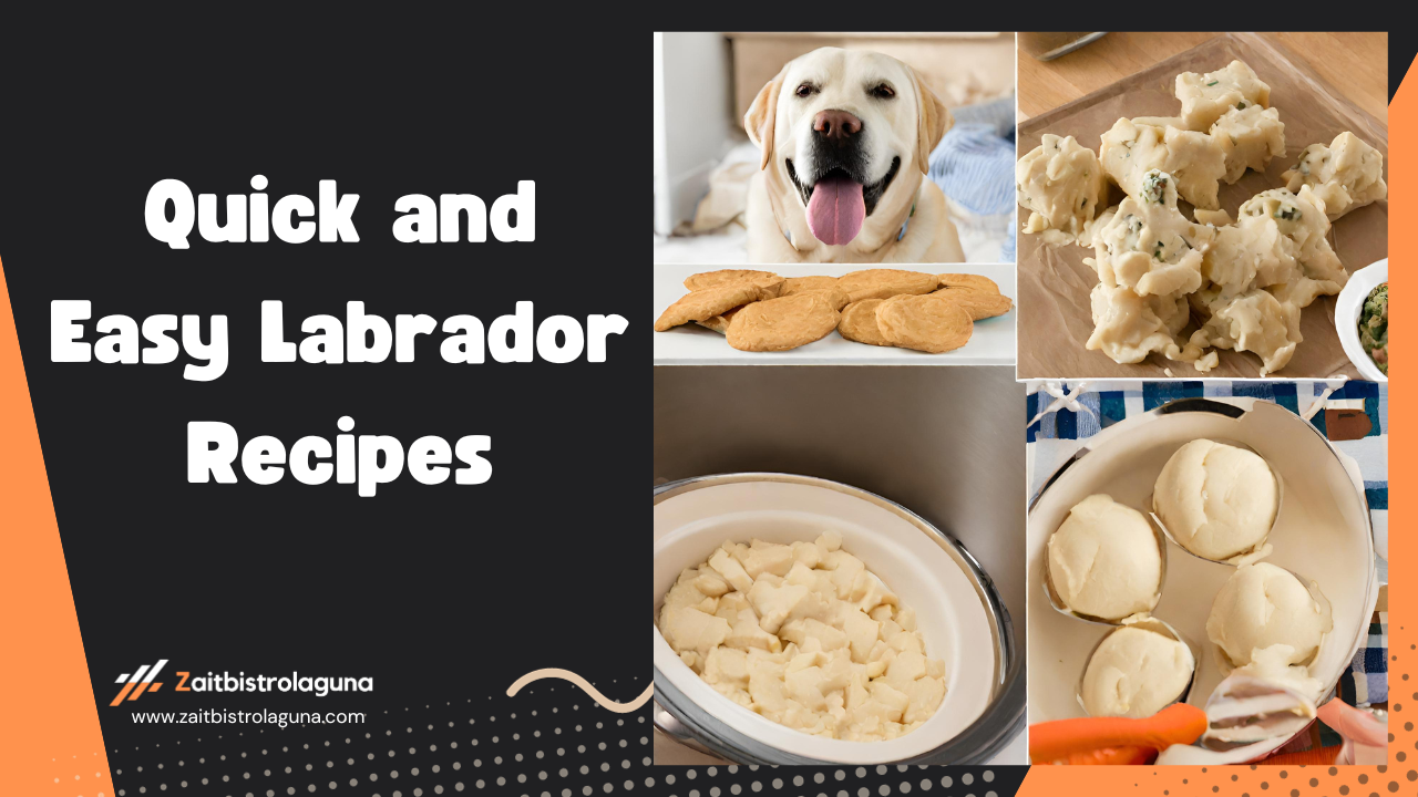 Quick and Easy Labrador Recipes Image