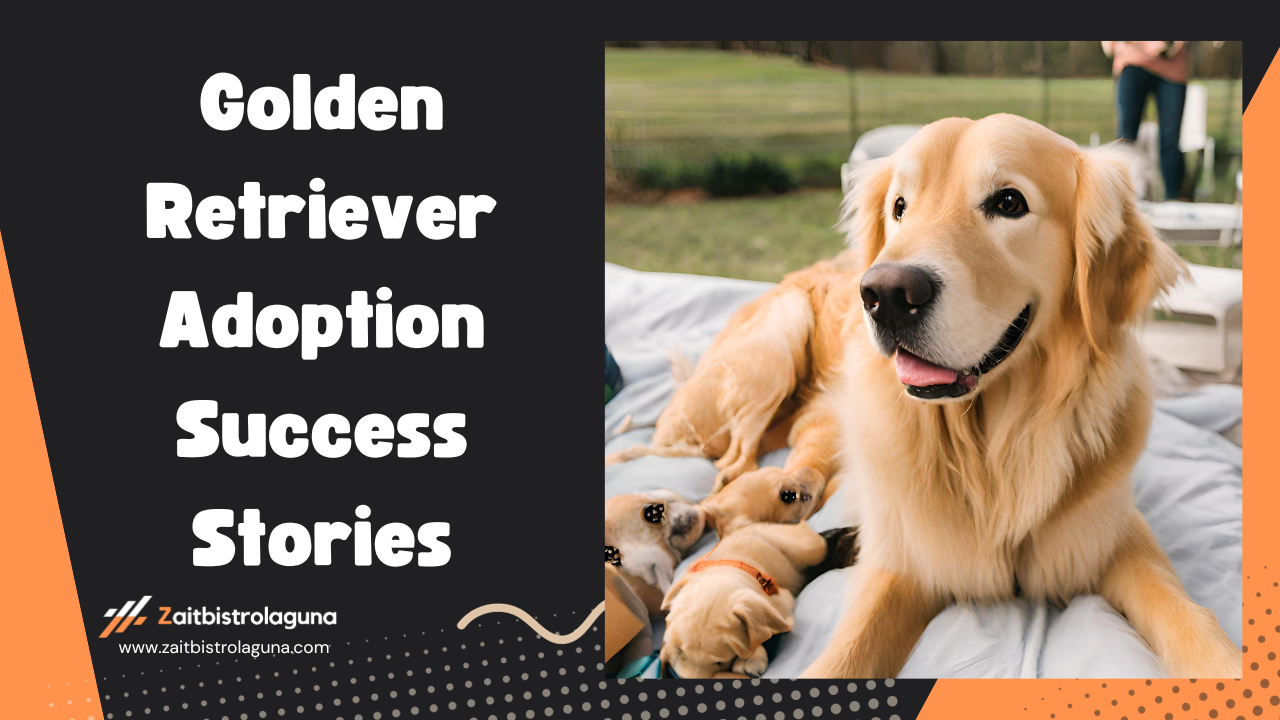 Tales of Love Golden Retriever Adoption Success Stories Image