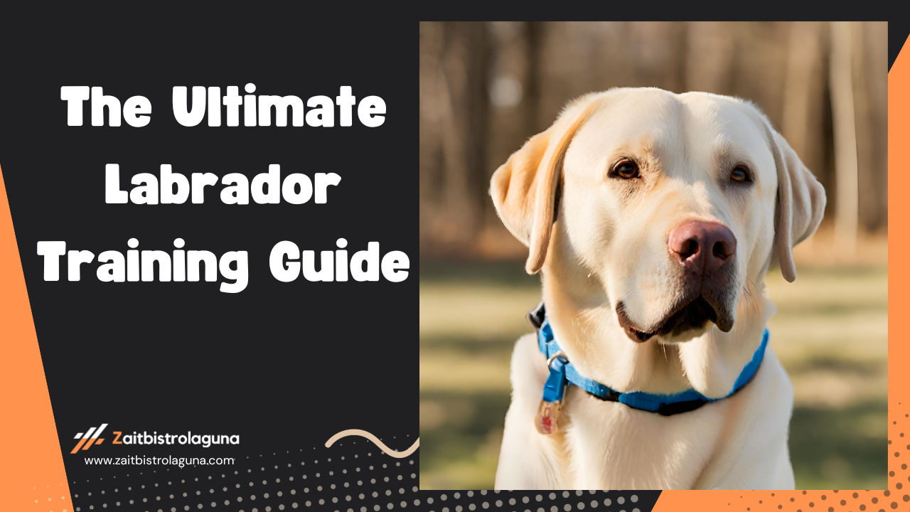The Ultimate Labrador Training Guide Image
