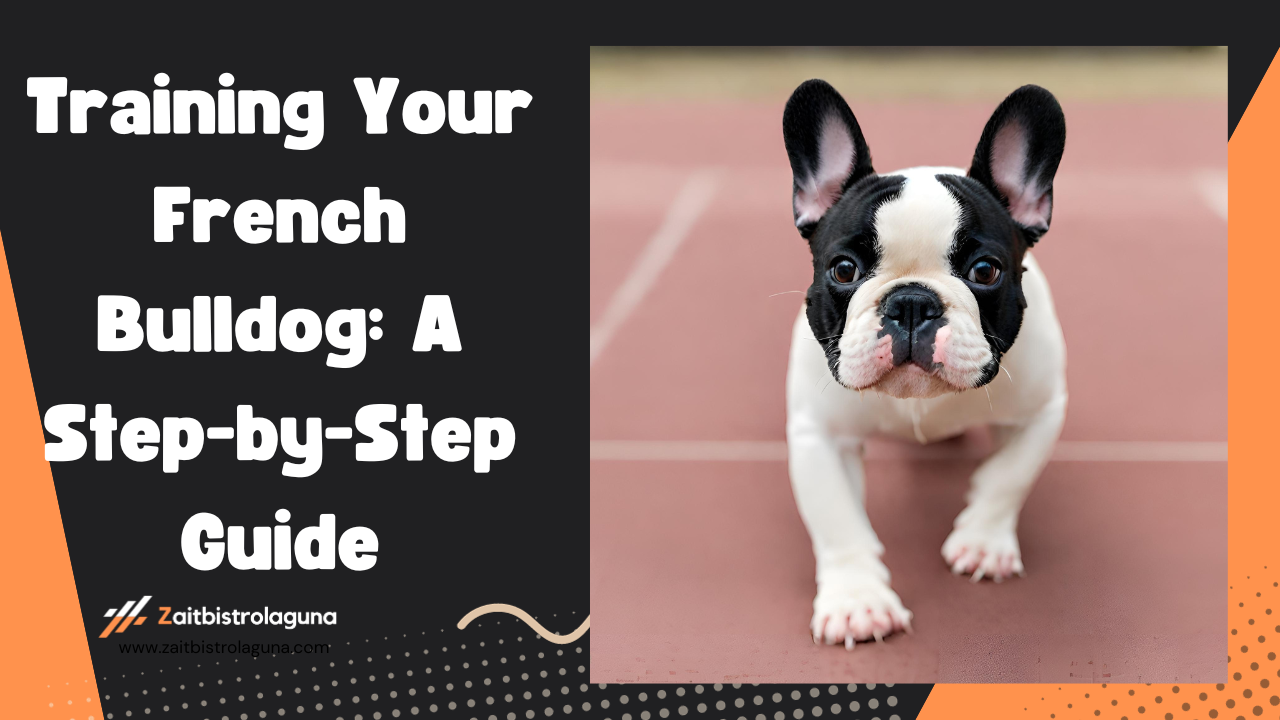 Training Your French Bulldog A Step-by-Step Guide Image