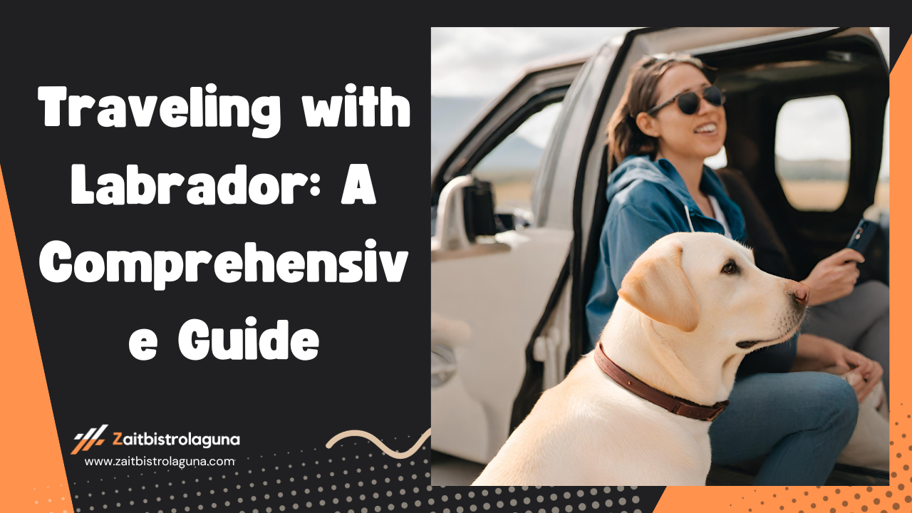 Traveling with Labrador A Comprehensive Guide Image