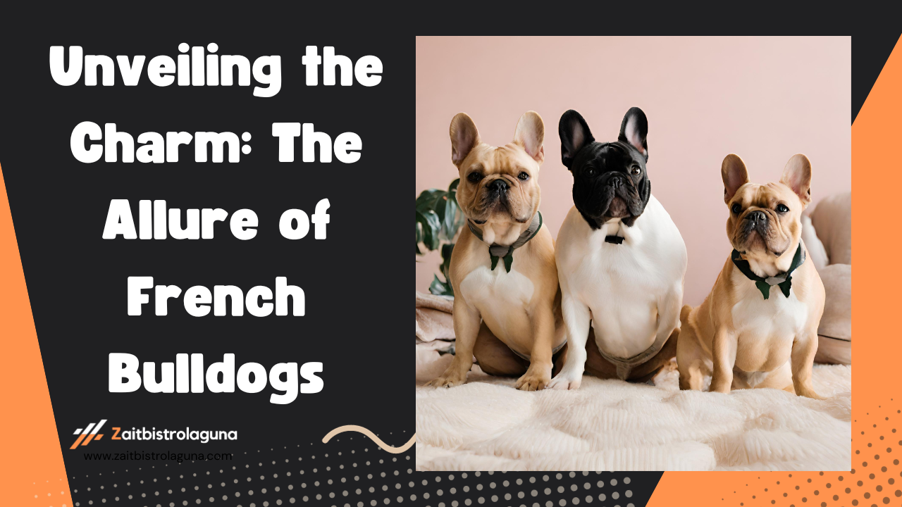 Unveiling the Charm The Allure of French Bulldogs Image
